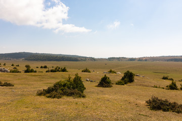 Fototapeta na wymiar plateau with bushes and forest in the horizon