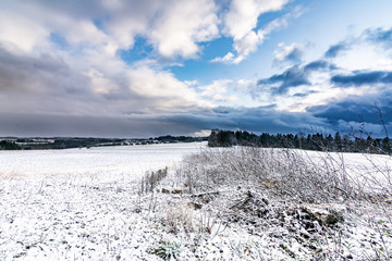 winter landscape with frozen meadow and blue sky