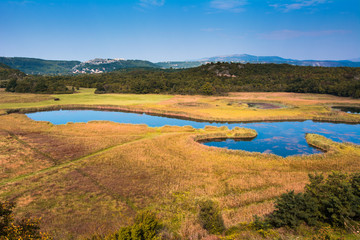 Fototapeta na wymiar Beautiful lake surrounded by vegetation in the fall.