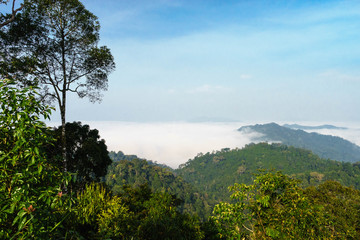 Fototapeta na wymiar Sea of mist in Phetchaburi Province, Thailand.