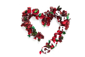 Floral spring flat lay background. Petals poses, floral visual, full bloom, vivid flowerscape, live wall, Flower letters, Multicolored flowers, thriving, teeming,spring time