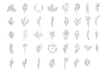 floral frame botanical party elements digital house 