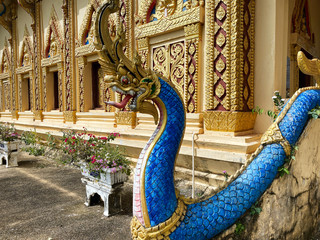 Buddhistischer Drache vor Tempel