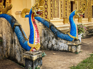 Buddhistischer Drache vor Tempel