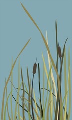Bush of Swamp Reed on a Lake