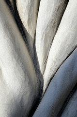 close-up abstract background of marble