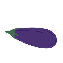 hand drawn eggplant isolated on white background. Doodle aubergine vegetable.