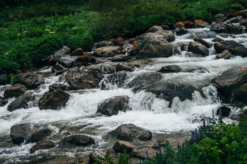Beautiful landscape with big stones in water riffle of mountain river. Powerful water stream among boulders in mountain creek with rapids. Fast flow among rocks in highland brook. Small river close-up