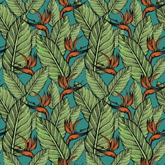 seamless pattern with leaves and strelitzia. 