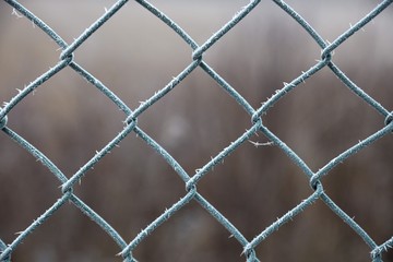 Frozen wire fence