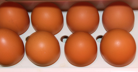 the eggs are in the refrigerator