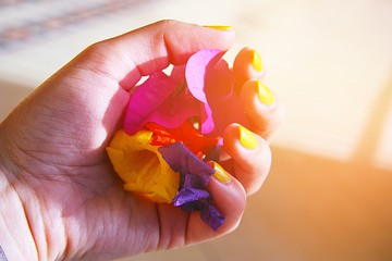 Flowers in the hand. Bright colours. Color therapy.