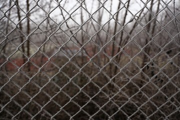 Frozen wire fence