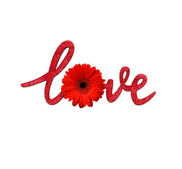 Lettering «love» and red gerbera flower