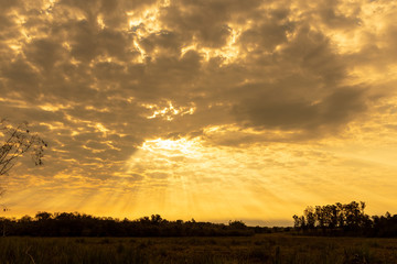 Late afternoon in the southern pampa biome of Brazil