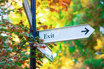 Exit sign with an arrow against the beautiful and bright background of autumn trees