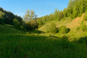 Fototapeta na wymiar Evening summer landscape with a ravine and forest on its slopes
