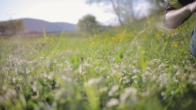 A woman collects wild strawberry flowers and puts them in a bag. In the background, a meadow and mountains. Camera movement to the right. Alternative herbal medicine