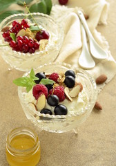 Homemade cottage cheese with berries, granola, almonds and honey for healthy breakfast