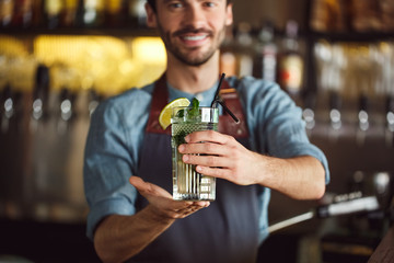 Professional Occupation. Bartender standing at counter serving mojito close-up blurred background...