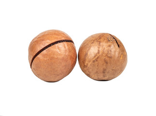 Two macadamia nuts