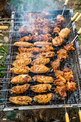 Delicious outdoor grilled chicken wings