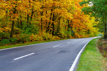 Asfaltowa droga jesienią.