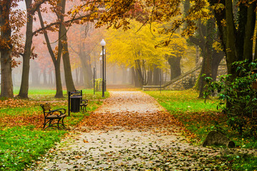 Park jesienią.