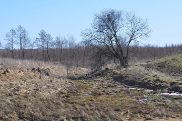 Przedwiośnie © Rafa