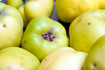 Close up shot of green and yellow apples