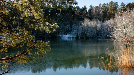 Belarus. The surroundings of Grodno. A green lake with snowy shores and trees on the shore