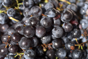 Close up shot of fresh red grapes
