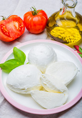 Cheese collection, balls Italian soft white cheese mozzarella
