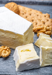 Cheese collection, piece of French brie cheese with white mold