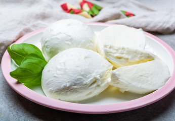 Cheese collection, balls Italian soft white cheese mozzarella