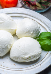 Cheese collection, balls Italian soft white cheese mozzarella