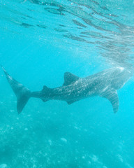 Fototapeta premium DCIM\100GOPRO\G0220659.JPG