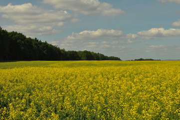 Obraz premium Mazury