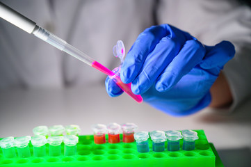 Scientist taking out pink chemical solution in eppendorf tube and pipette for biomedical research...