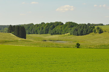 Fototapeta premium Mazury