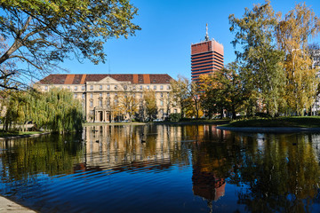 Trees on a pond in a park and a modern buildings in Poznan.