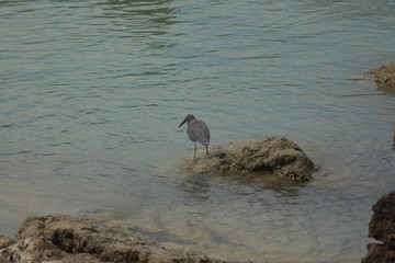 Koh Phangan Island, Surat Thani, Thailand