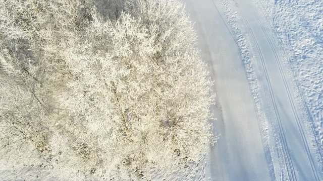 Snow covered trees and ski track 