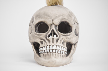 Front portrait of human punk skull on isolated white background