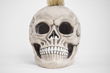 Fototapeta premium Front portrait of human punk skull on isolated white background