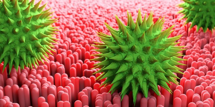 Astereae pollen on mucosa tissue - allergic reaction, allergic rhinitis or hay fever 3D illustration