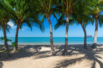 Naklejka na ściany i meble Palm tree and the beach at the tropical sea on sunshine day.