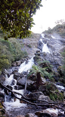 St Columba Waterfall in Tasmania, Australia
