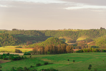 Fototapeta na wymiar Rural landscape and lavora of ryegrass grassland