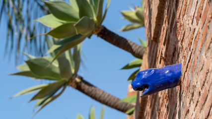 blue gargoyle in masonry facade with succulent plant in the background